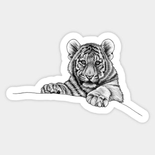 Amur tiger cub - ink illustration Sticker